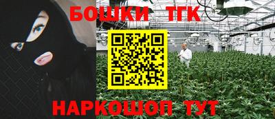 PSILOCYBIN Будённовск