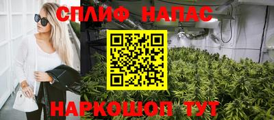 PSILOCYBIN Будённовск