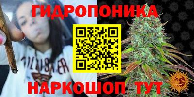 PSILOCYBIN Будённовск