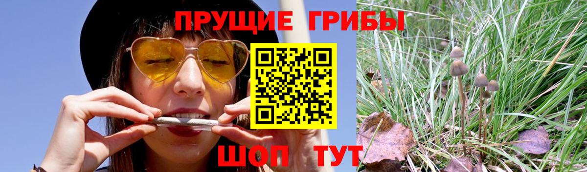 Галлюциногенные грибы мухоморы  Вход с VPN  Тимашёвск  Псилоцибиновые грибы MAGIC MUSHROOMS 